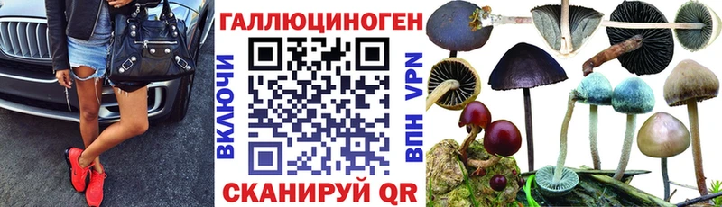 Галлюциногенные грибы MAGIC MUSHROOMS  продажа наркотиков  Новочеркасск 