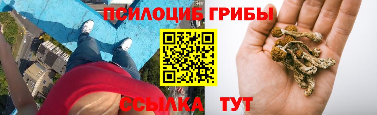 Псилоцибиновые грибы GOLDEN TEACHER Новочеркасск